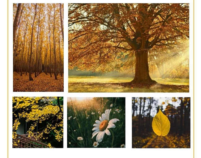 1604481024202679.jpg 1.jpg